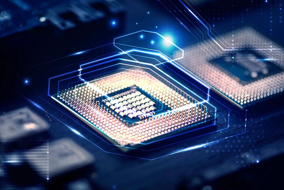 动物都有哪些辨味方法 不同动物的辨味方法